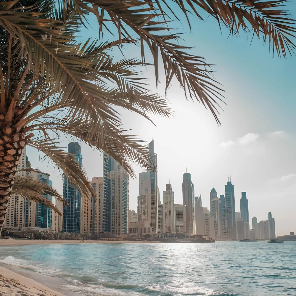 Dubai City Tour