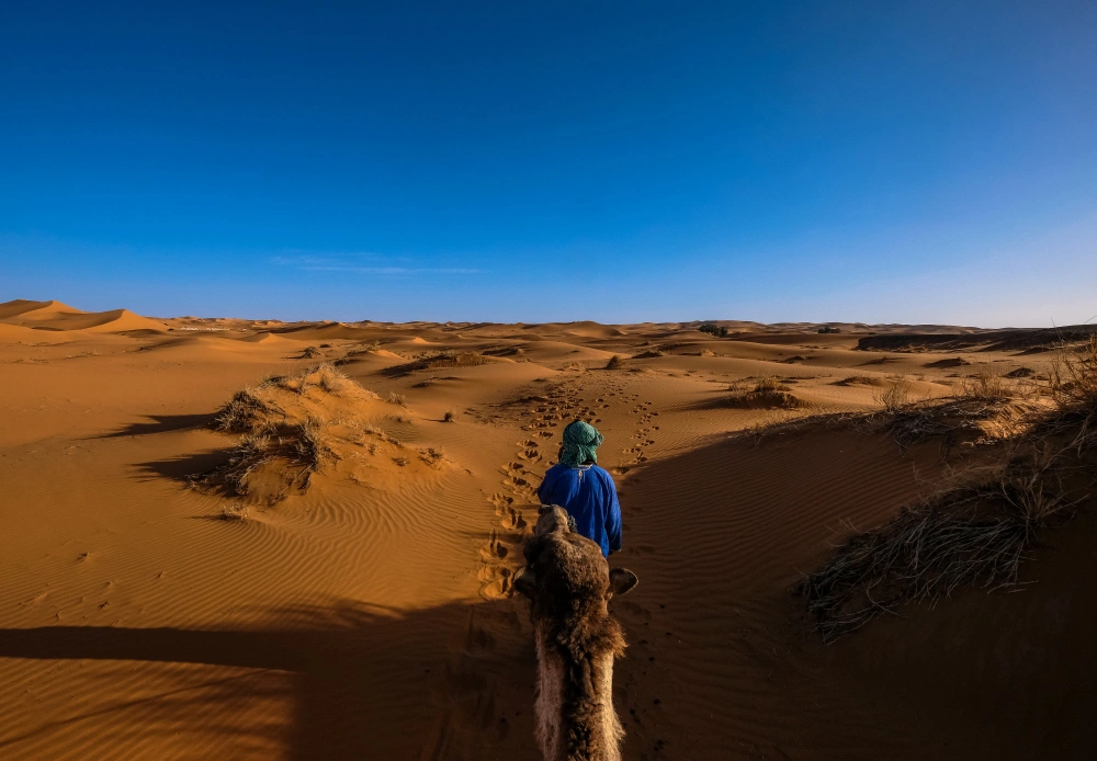 Desert Safari Dubai