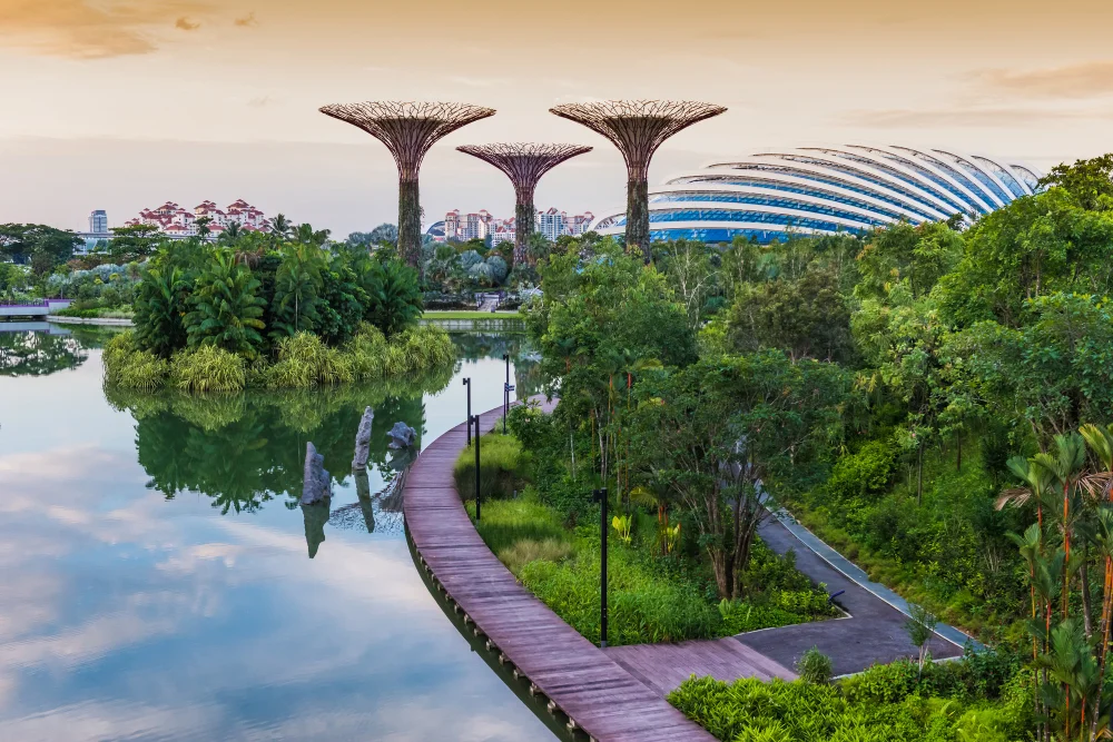 Gardens by the Bay Singapore